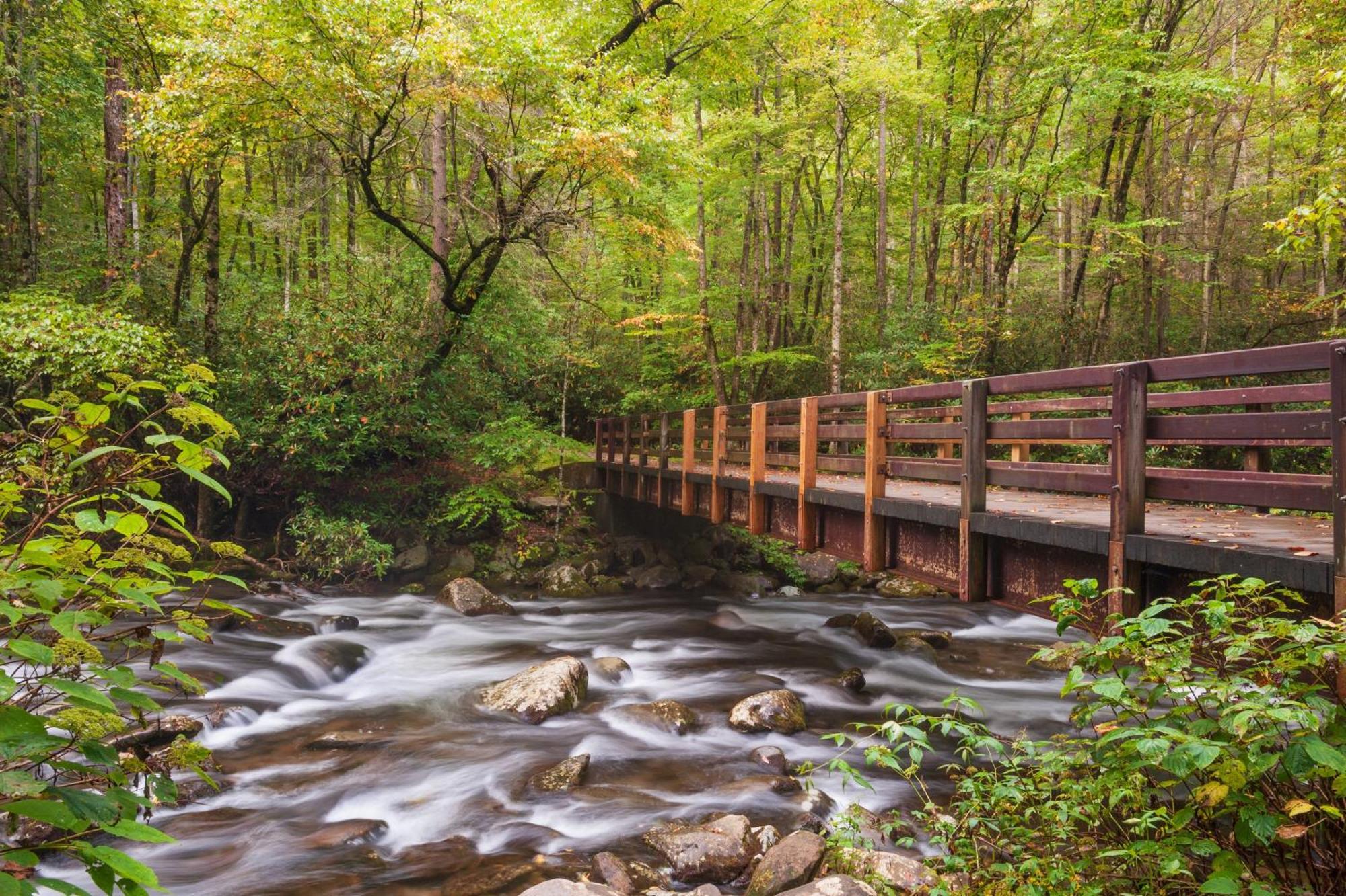 Chasing Fireflies Treehouse, 1089 Of Free Attraction Tickets For Each Paid Day, Dollywood And More! セバービル エクステリア 写真